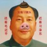 😊🇹🇼🇭🇰🇺🇦🇵🇸🇪🇺's profile picture