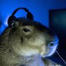 nick ๐'s profile picture