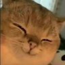 FakeNey's profile picture