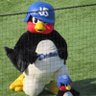 Profilbild von ◇🦦東京ヤクルトスワローズ・すわかつ (神宮メイン🏟)