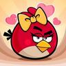 Angry Bird's profile picture