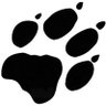 Profilbild von Nona Wolf