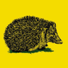 Profilbild von Bauldian