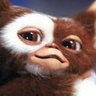 Block-spammers-and-ads's profile picture