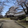 Фото профиля トゥリ