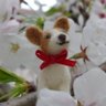 井上鉄平's profile picture