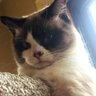 Profilbild von Pherdnut