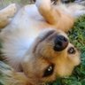 Carito profil fotoğrafı