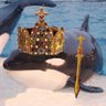 Don Orca's profile picture