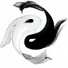 Estere lound 的头像