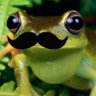 Tupturu's profile picture
