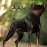 Profilbild von Drog