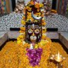Kailash m Soni's profile picture