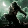 @Hombre lobo's profile picture