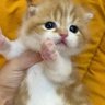 Profilbild von เจ้ามอสขี้เง่นน