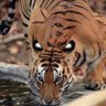 Profilbild von JejakaPenyegan