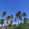 Фото профиля samara gomes ferreira