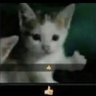 تومسة اديسون profil fotoğrafı