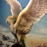 FMagie profil fotoğrafı