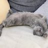 尼歐 的头像
