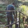 Profilbild von Edwin Avalos