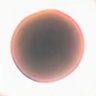 Фото профиля WhynoVNProbes?