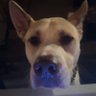 jordan's profile picture