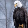 Eric profil fotoğrafı
