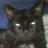 Mr Lee Black-Cat's profile picture
