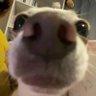 Фото профиля silly felix c: