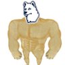 Kung @ LongStorySport.com's profile picture