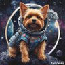 Digital Money Dog's profile picture