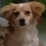 Tisha Momos's profile picture