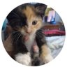 Christine's profile picture
