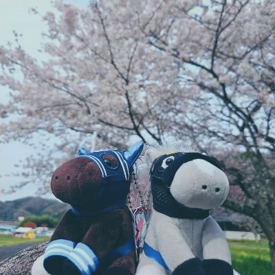 miko_ym1982's profile picture