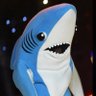 Фото профиля shork