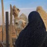 Фото профиля عـلـيـاء