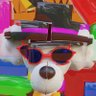 Profilbild von Ken@Blender