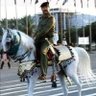 الأيتوسي الانصار ي's profile picture