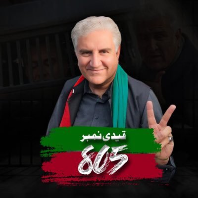 SMQureshiPTI's profile picture