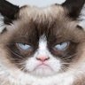 Roy Jones's profile picture