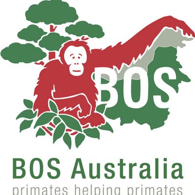 BOS_AUS's profile picture