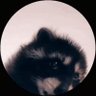 Jaime Diaz's profile picture