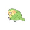 Profilbild von こう