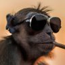 Фото профиля mattsmonkeybiz