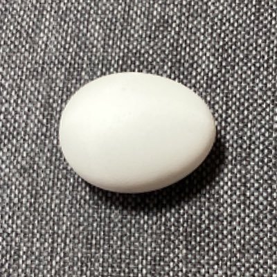 学なしディレクター's profile picture