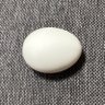 Profilbild von 学なしディレクター