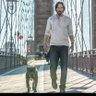 Фото профиля JHON WICK