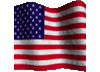 Stule Cvel's profile picture