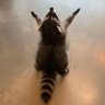 nick_recalde's profile picture